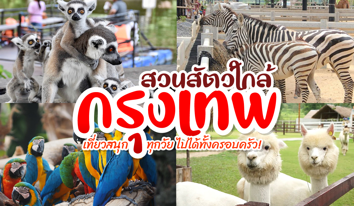 แนะนำ สวนสัตว์ใกล้กรุงเทพ